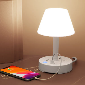 Conversion Socket Desk Lamp