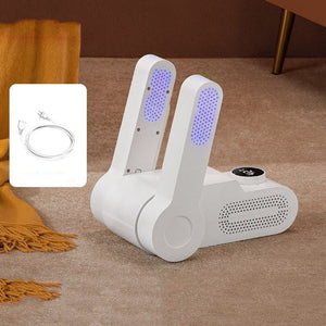 Household Shoe Dryer