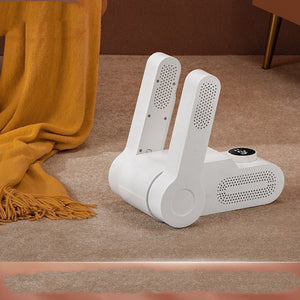 Household Shoe Dryer