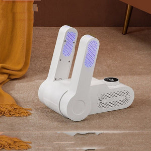 Household Shoe Dryer